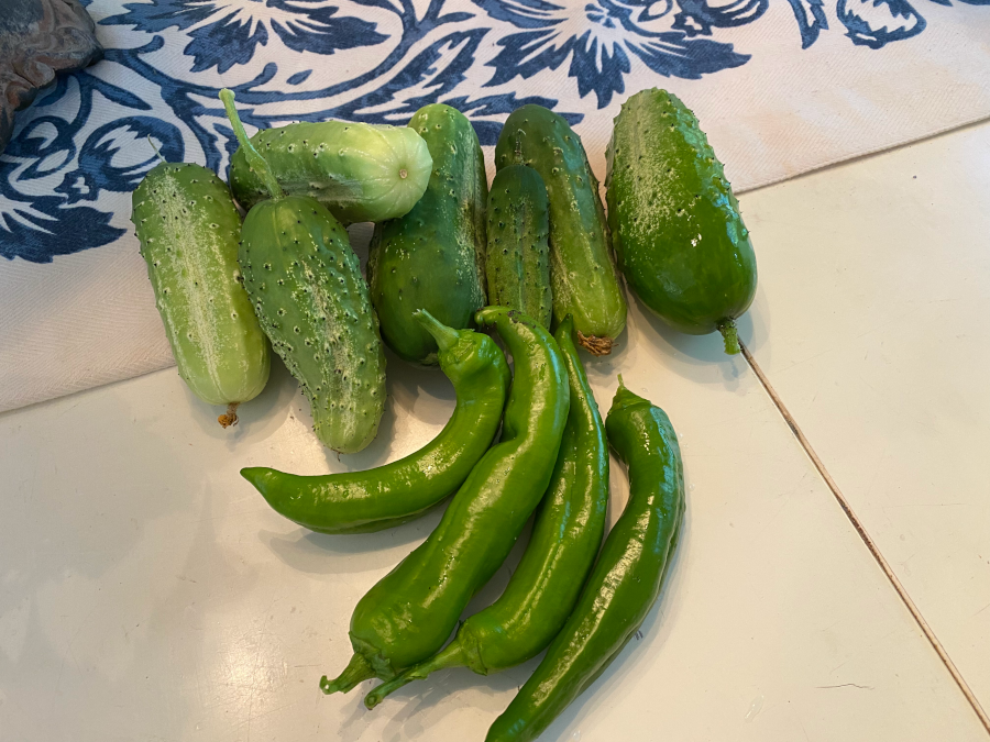 Cucumbers and Peppers From our Garden