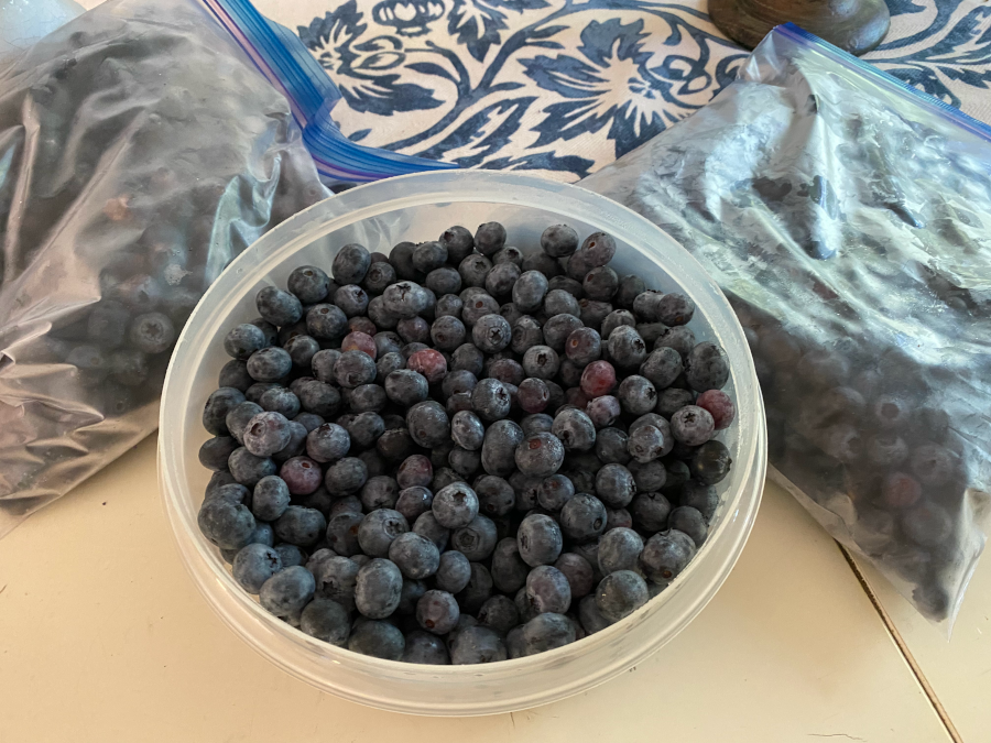 Blueberries From the Farm